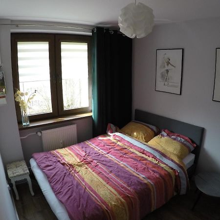 下乌斯奇基Apartament Bieszczady公寓 外观 照片
